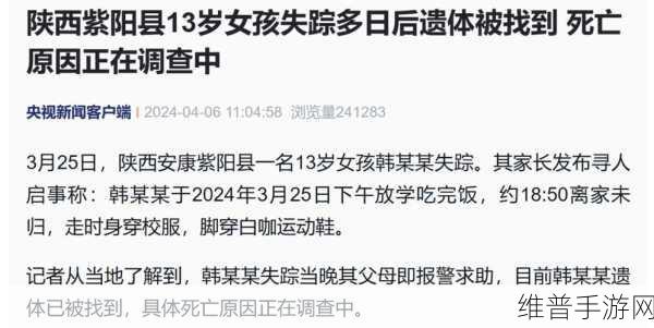 yp请牢记10个以上防止失联:社交游戏安全指南:10+小贴士助你保持畅联【专题】