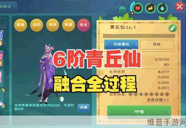 创造与魔法，青丘仙融合秘籍大揭秘