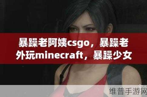 暴躁老阿姨CSGO最新：暴躁老阿姨：枪战传奇【专题】