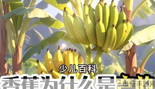 在线观看香蕉视频：趣味视频小站【专题】