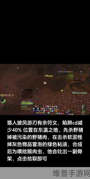 魔兽哪里冰冷的肉掉落多：魔兽掉落攻略：高爆率冰封地图大揭秘【专题】