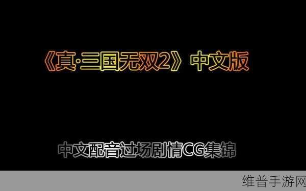 中文字幕在线播放量：中文配音播放次数【专题】