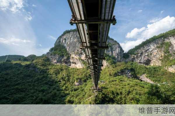 跳下那座桥，挑战极限的模拟跳桥闯关之旅游戏下载全攻略