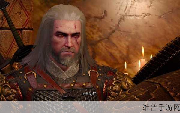 巫师3狂猎次世代版：巫师传说：魔法冒险【专题】