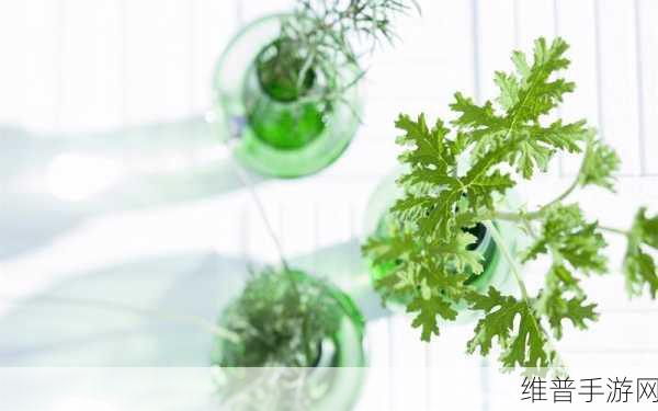盆栽大师下载安装全攻略，解锁你的绿色经营传奇