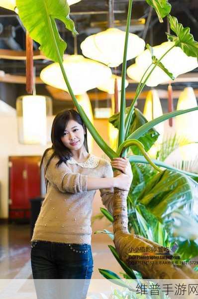 婷婷二区：婷婷世界-2服【专题】