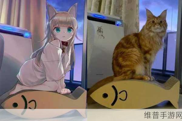 我家不可思议的猫咪，日产动漫风猫娘育成手游全攻略