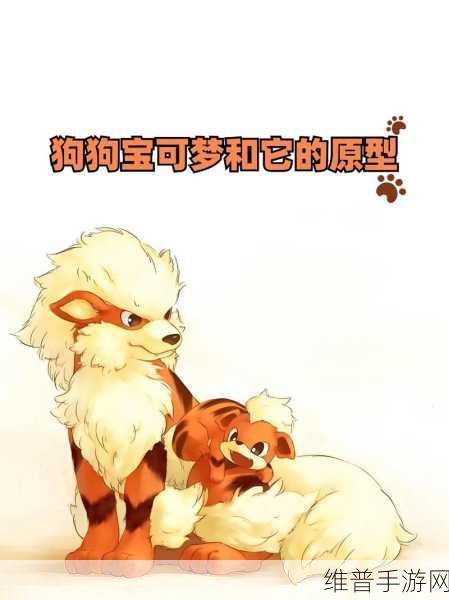 宝可梦大集结中凸凸头盔的神奇效果解析