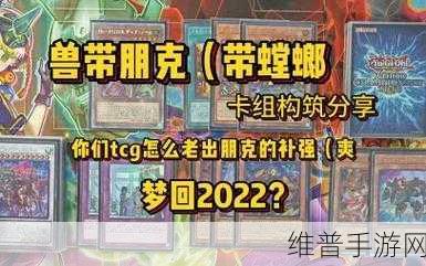 源数超世代2024破解版下载全攻略,解锁非常华丽的TCG卡牌手机游戏新境界