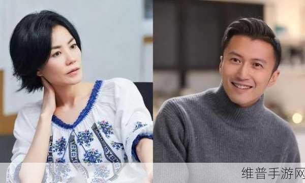 谢霆锋王菲宣布产女:重磅消息!明星夫妇喜得千金,游戏内限时庆祝活动开启【专题】