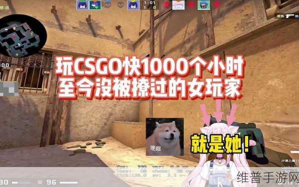 CSGO暴躁妹妹最新版本内容:CSGO萌妹枪战:开局暴躁少女【专题】