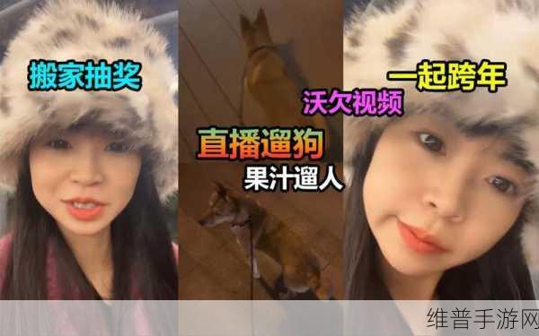 看b站直播间户外:户外探险直播间【专题】