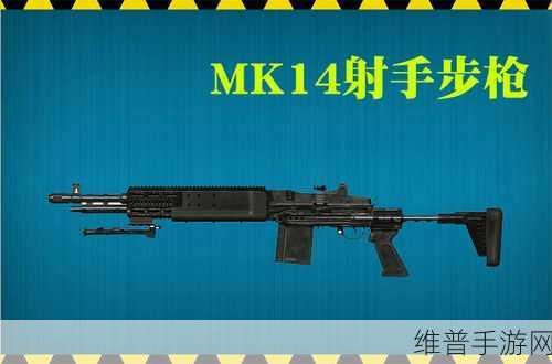 SKS和mk14：狙击大师：SKS与MK14对决【专题】