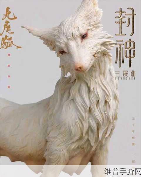 白狐影视:白狐视界【专题】