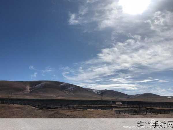 无人区乱码一二三四区别在哪里查：无人区1-4区选择指南：新手必看攻略【专题】
