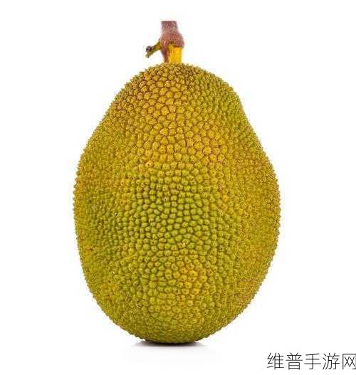 菠萝蜜视频高清免费看特色:菠萝蜜短视频 - 精彩内容随心看【专题】