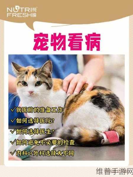 人狗胶配方大全及功效说明书：宠物医馆：爱宠康复秘方图鉴【专题】