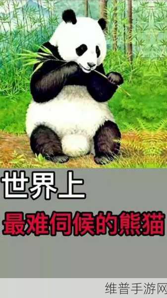 腾讯佛系养熊游戏深度攻略,萌宠熊猫的养成之旅