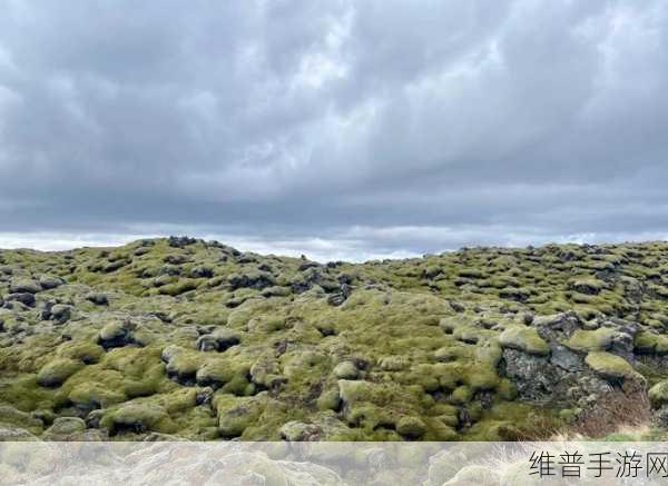 冰原守卫者,破解凛风峡谷阵法修复之谜