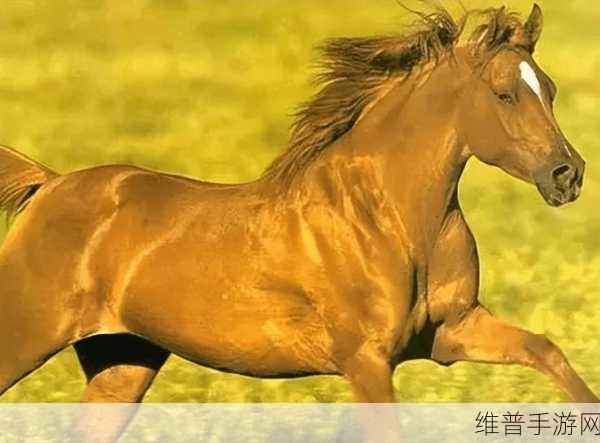随着马的奔跑更加深入古代：穿越古代，策马天下【专题】