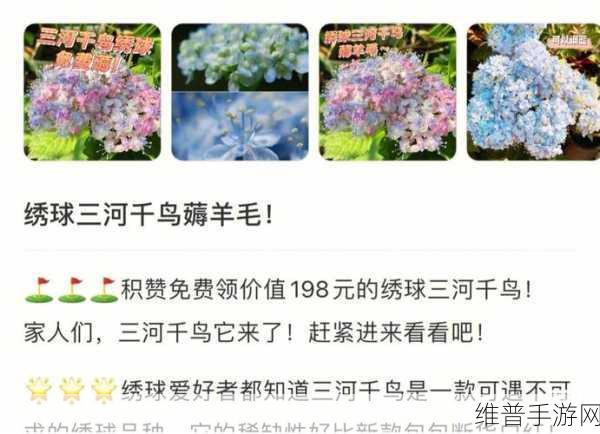 无限暖暖绣球羊毛获取全攻略