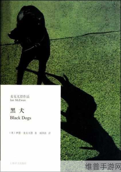 小萝莉的第一次给了黑狗：小萌新冒险家与神秘黑犬的奇遇【专题】