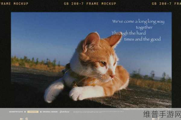 猫咪露营地破解版深度攻略，打造你的梦幻营地之旅