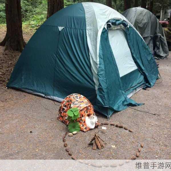 猫咪露营地破解版深度攻略，打造你的梦幻营地之旅