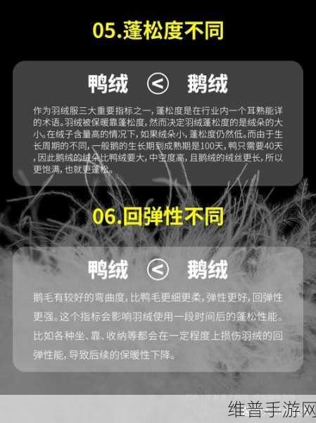 一区二区区别:新手服VS老玩家服:选择哪个更适合你?【专题】