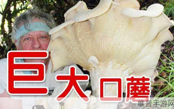 大蘑菇进入子宫的10个原因：```【专题】