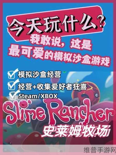 开局一只史莱姆 神烛龙拟态全攻略