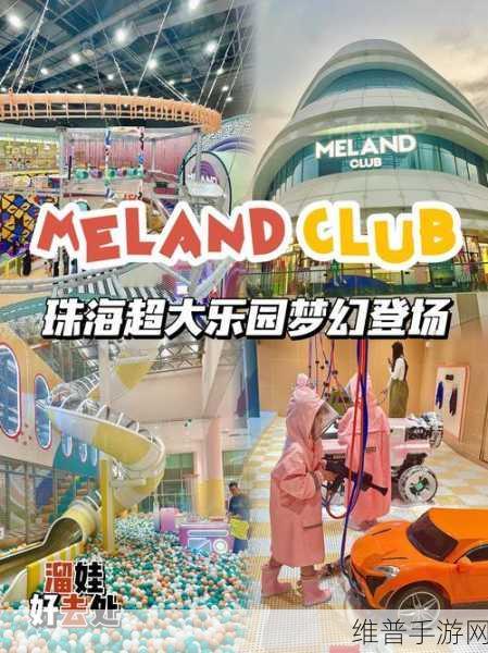 主题公园热潮最新版下载，打造梦幻乐园的全方位攻略
