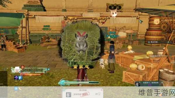 剑网 3子夜歌宠物奇遇全攻略指南