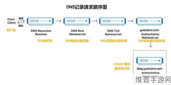 国外免费网站域名服务器查询：游戏加速器DNS查询工具【专题】