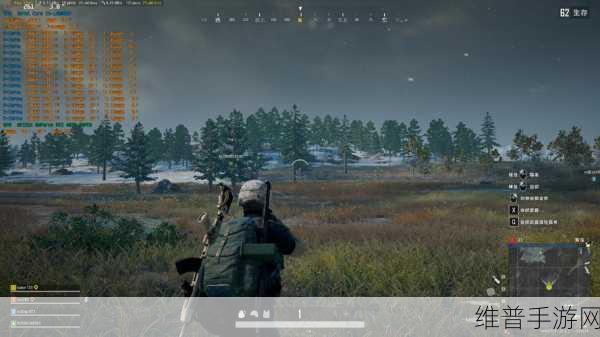 碎石与扫射下载，横版低空射击飞行游戏的极致体验