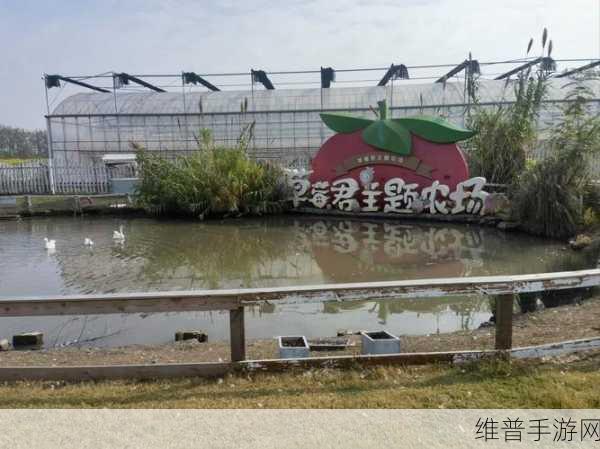 无衣拨萝卜：拔萝卜大作战【专题】