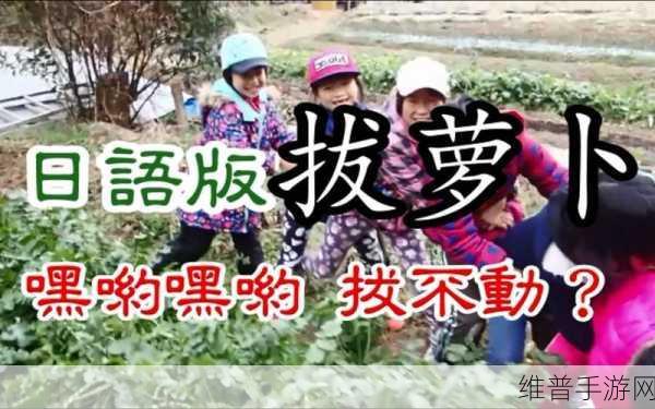 无衣拨萝卜：拔萝卜大作战【专题】