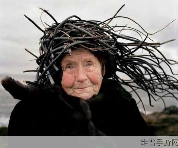 老人玩小处雌女hd另类：老年休闲益智手游【专题】