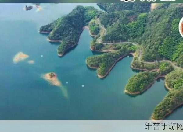 爱情岛1号线和2号线测速:爱情测试:你是1号还是2号恋爱高手?【专题】
