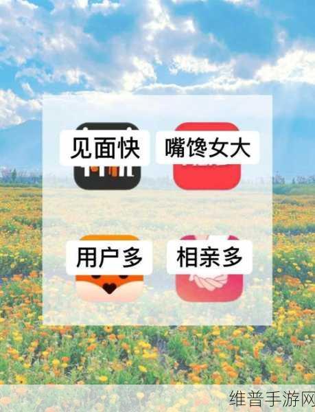 黄页推广美女涩涩：美女交友聊天【专题】