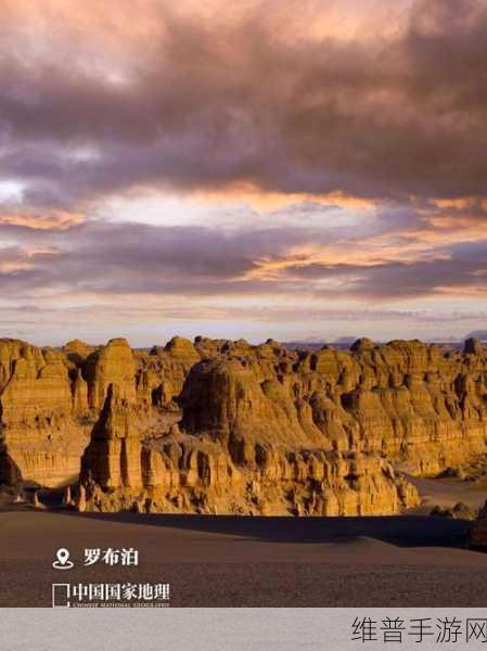 无人区编码6229Jm观：无人区探险：神秘代码6229Jm【专题】