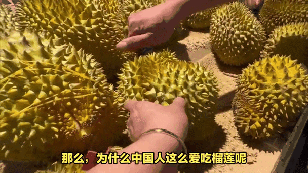 榴莲视频下载:榴莲视频 - 超清播放器【专题】