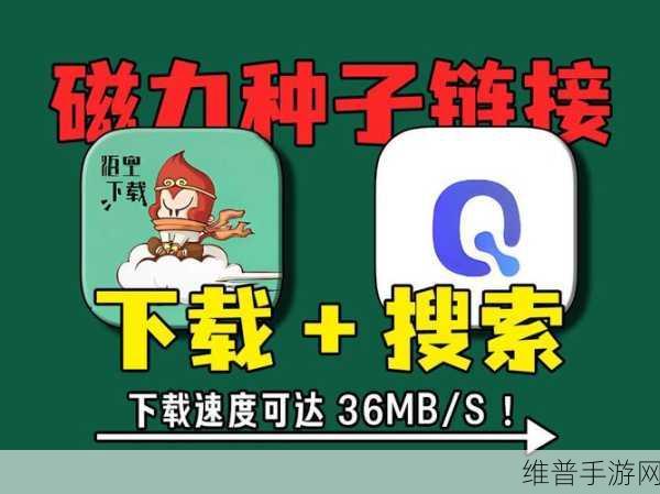 种子搜:种子冒险【专题】
