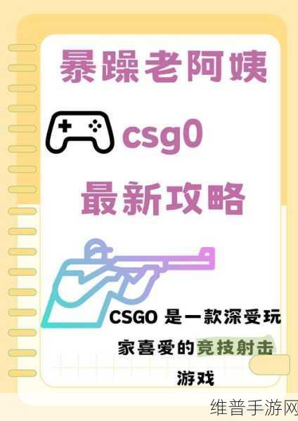 csgo暴躁猛女:枪战女神:无畏突击【专题】