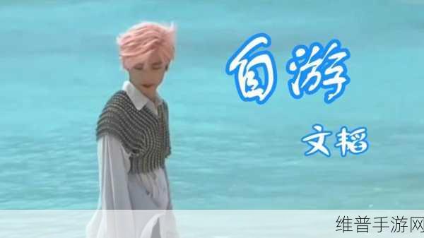 最近最新MV字幕免费观看：热门MV歌词一键同步【专题】