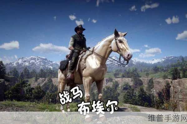老年镖客3免费视频:西部牛仔传奇:荒野大镖客【专题】