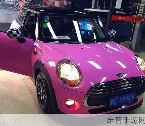 桃红色jeep主打进口:粉红越野车:冒险之旅的时尚坐骑【专题】