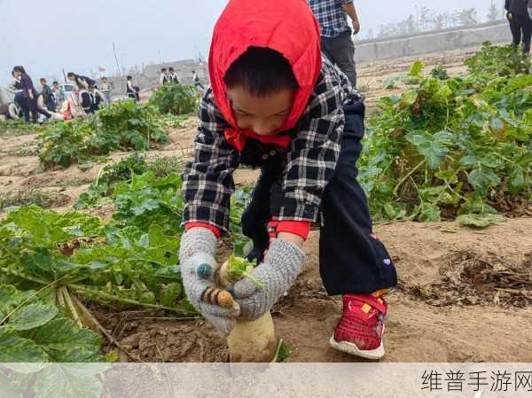 三女一男床上把萝卜：三人组队萝卜大作战【专题】