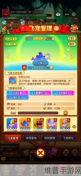 冒险大作战金龟次郎飞宠助力冒险之旅