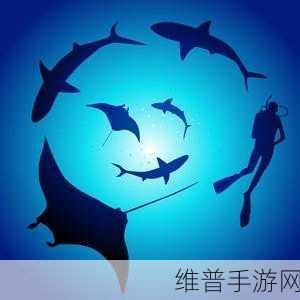 男孩与海下载,探索沙漠狩猎鲨鱼的清新卡通冒险之旅